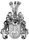 Odrow