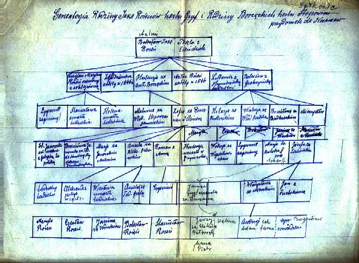 1950 Notatki genealogiczne Bronisawy Rychter-Janowskiej