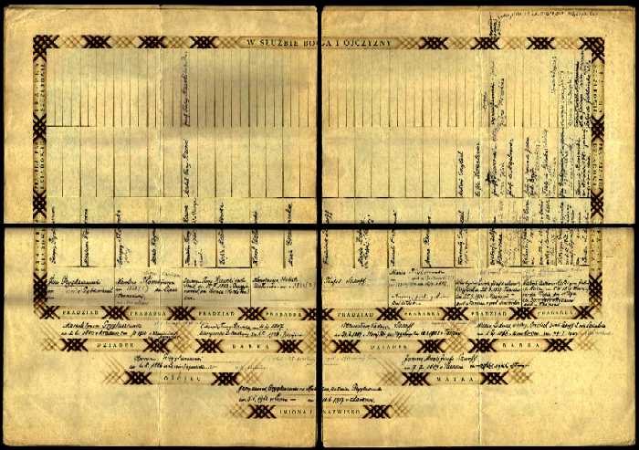 1940-1950 Fragment niedokoczonego drzewa rodowego Romana Gryglaszewskiego